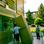 selidbe beograd vračar